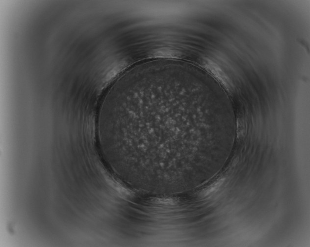 X0000093490349200710121511