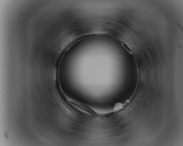 X0000093490350200710121511