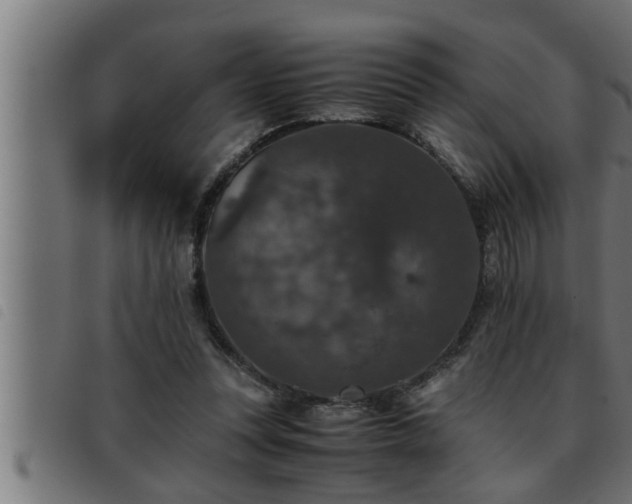 X0000093490351200710121511