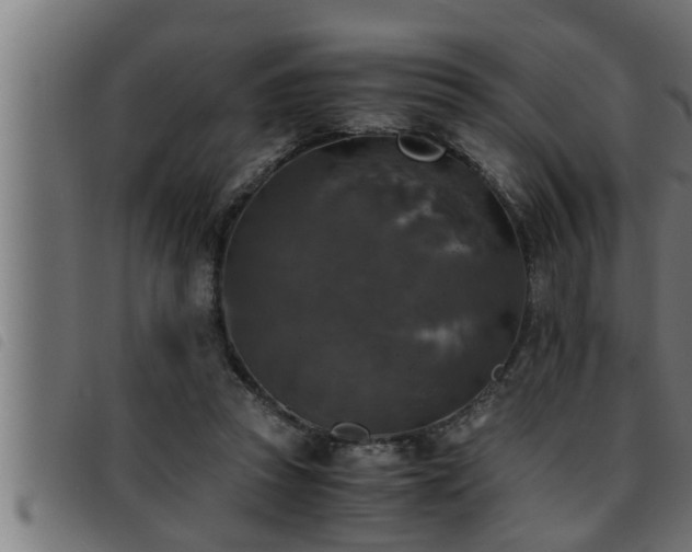 X0000093490353200710121511