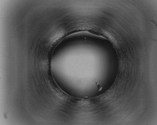 X0000093490354200710121511