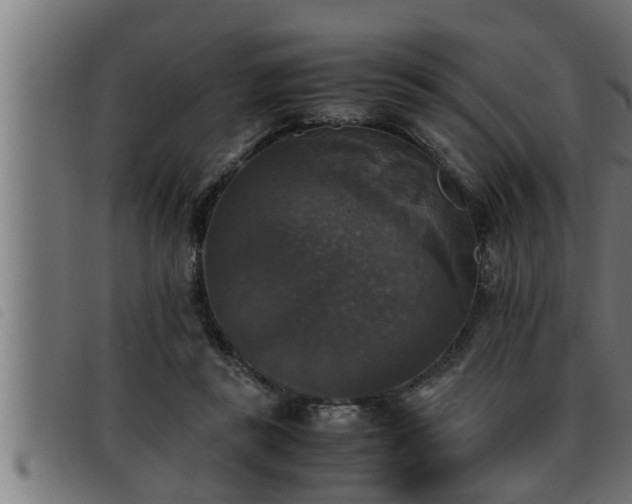 X0000093490355200710121511
