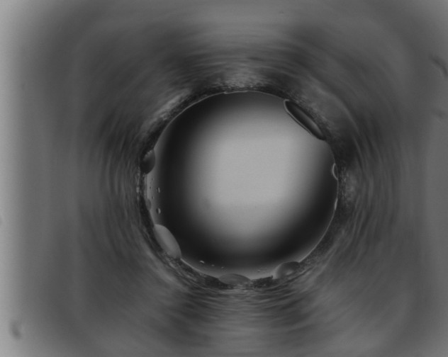X0000093490356200710121511