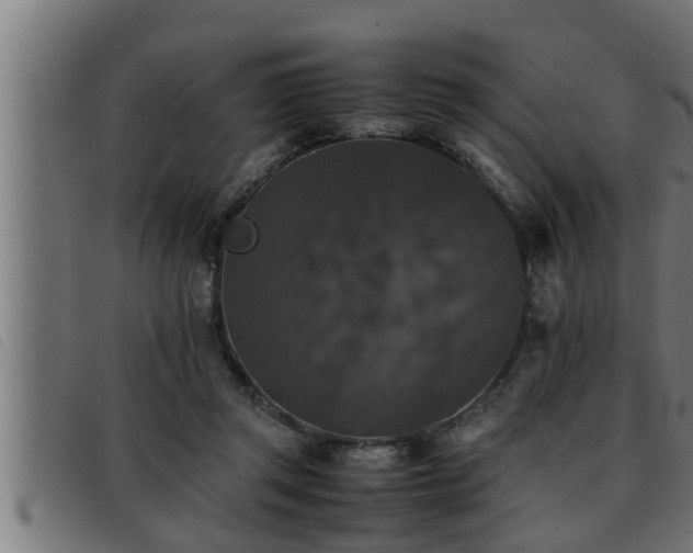 X0000093490357200710121511