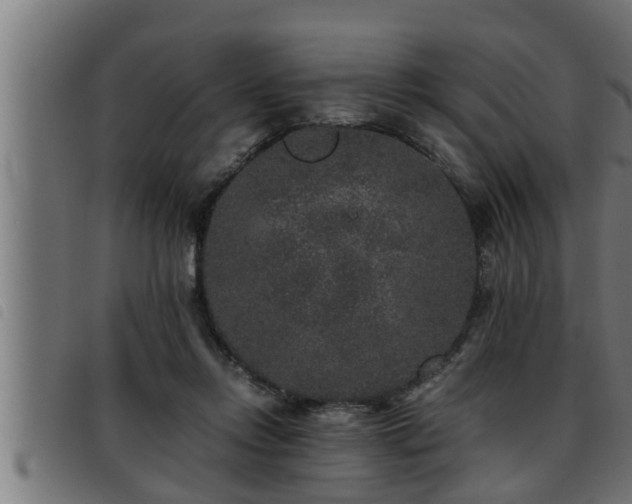 X0000093490358200710121511