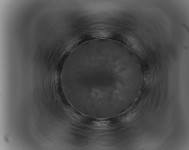 X0000093490359200710121511