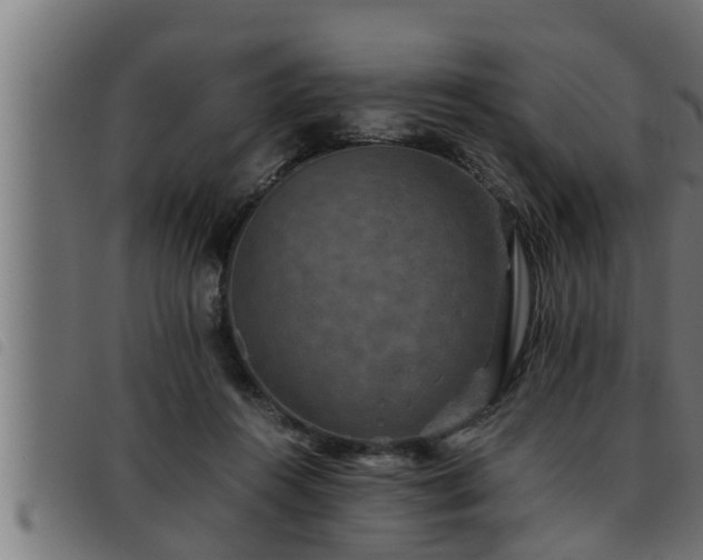 X0000093490360200710121511