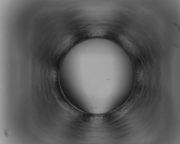 X0000093490362200710121511