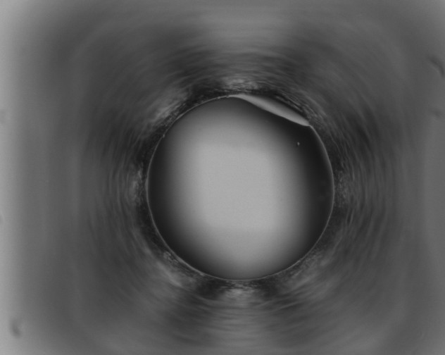 X0000093490364200710121511