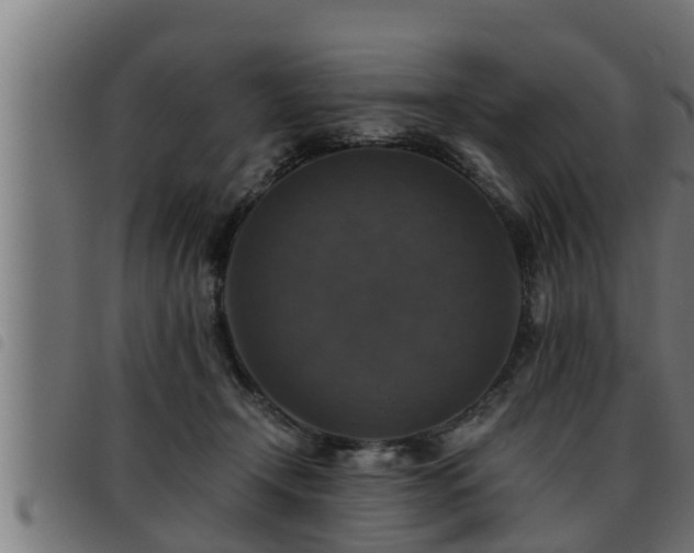 X0000093490366200710121511