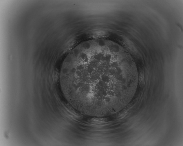X0000093490367200710121511