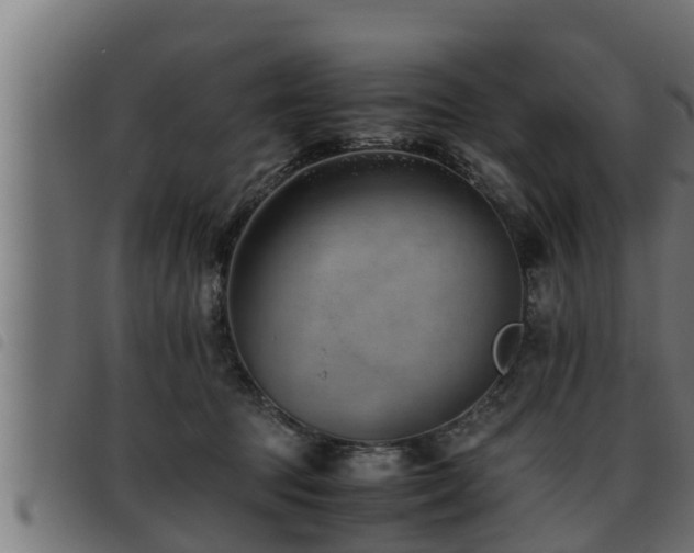 X0000093490369200710121511