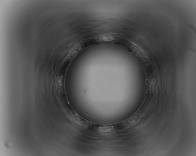 X0000093490373200710121512