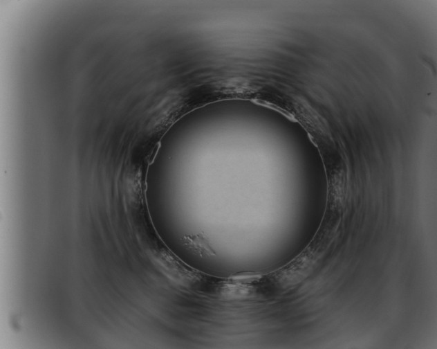 X0000093490376200710121512