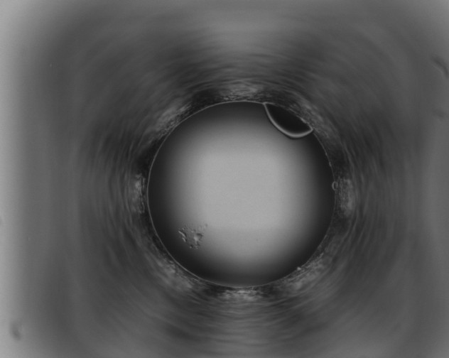 X0000093490378200710121512