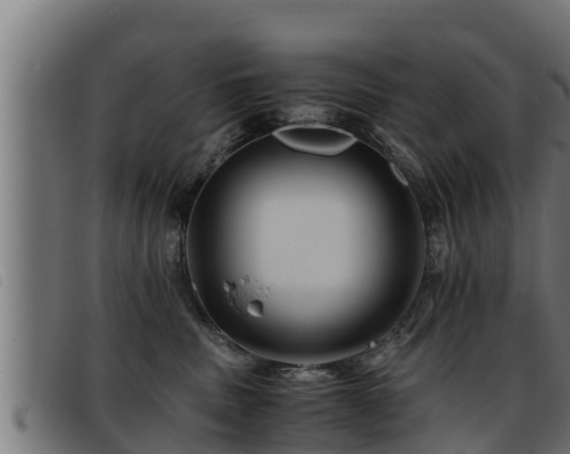 X0000093490379200710121512