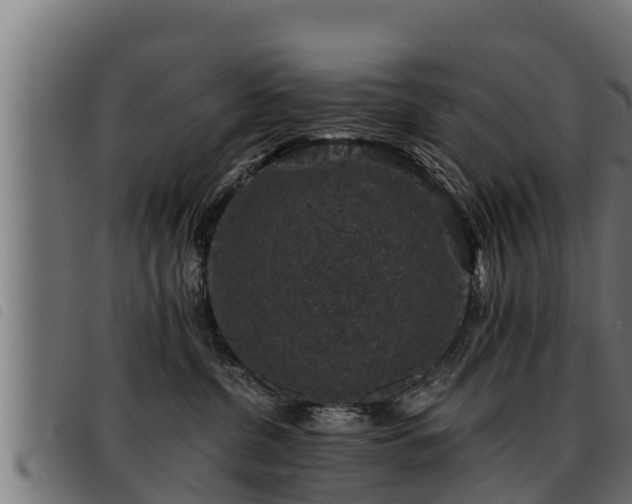 X0000093490380200710121512