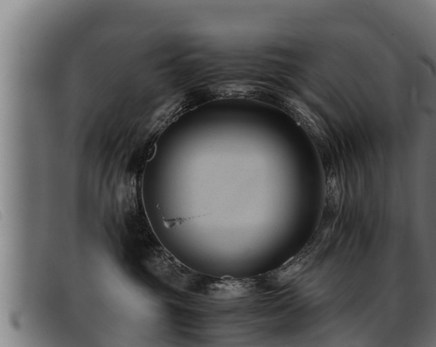 X0000093490381200710121512
