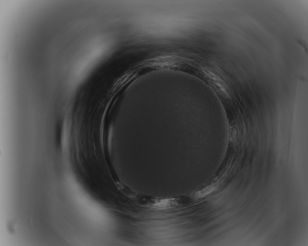 X0000093490382200710121512