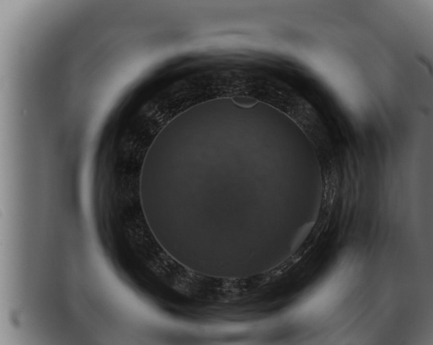 X0000093490383200710121512