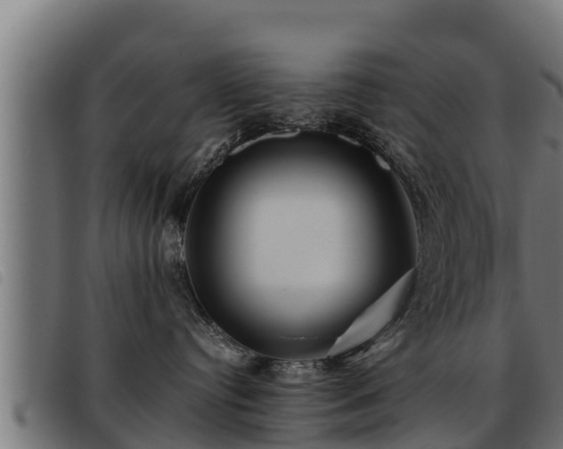 X0000093490384200710121512