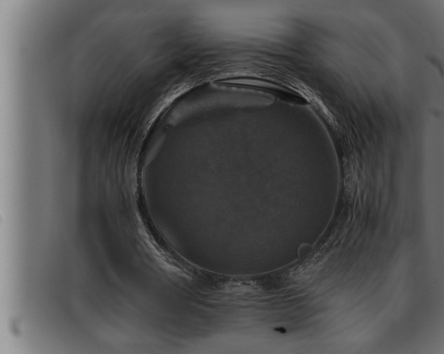 X0000093490386200710121511