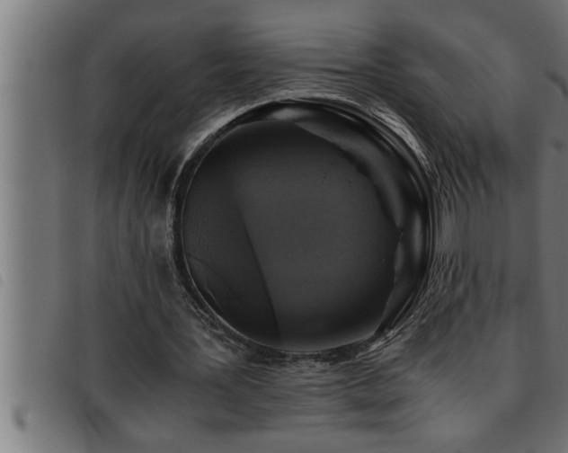 X0000093490387200710121511