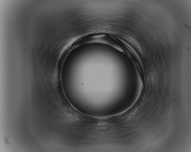 X0000093490388200710121511