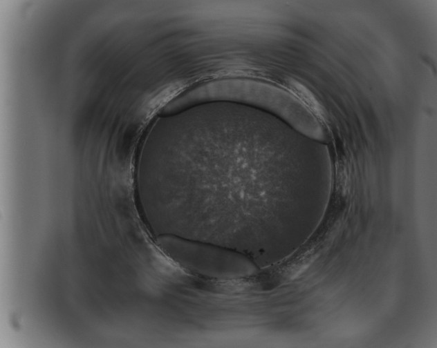 X0000093490389200710121511
