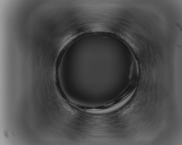 X0000093490391200710121511