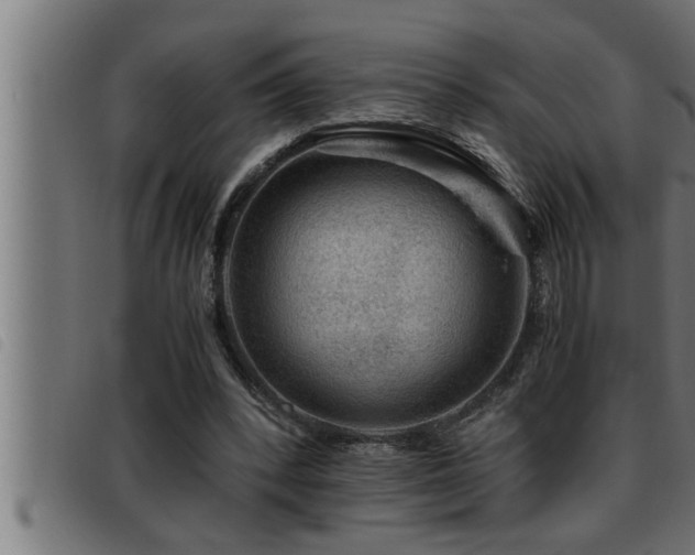 X0000093490392200710121511
