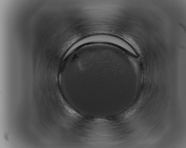 X0000093490393200710121511