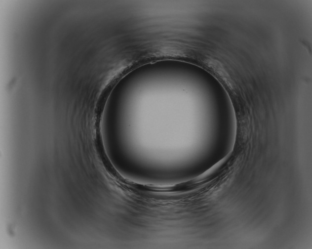 X0000093490395200710121511