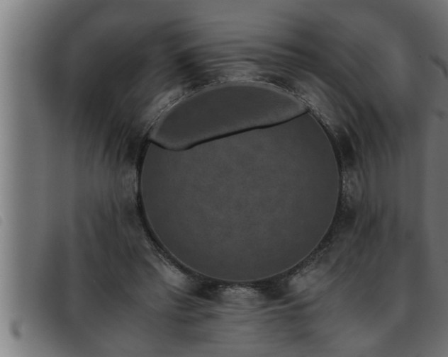 X0000093490397200710121511
