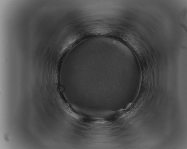 X0000093490399200710121511