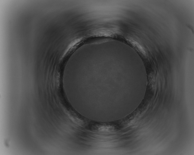 X0000093490400200710121511