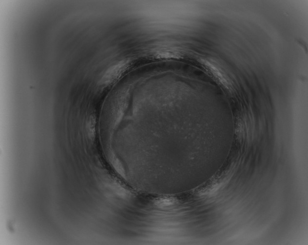 X0000093490402200710121511