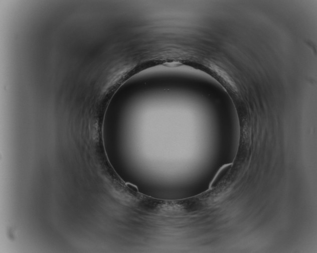 X0000093490403200710121511