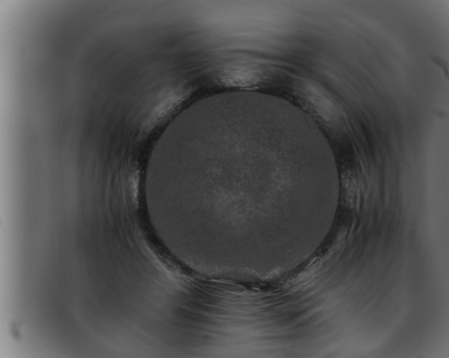 X0000093490404200710121511