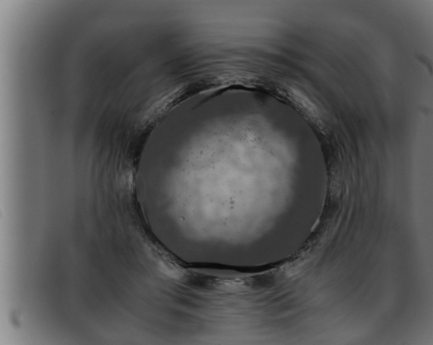 X0000093490405200710121511
