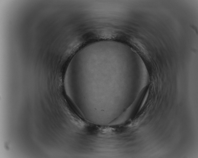 X0000093490407200710121511