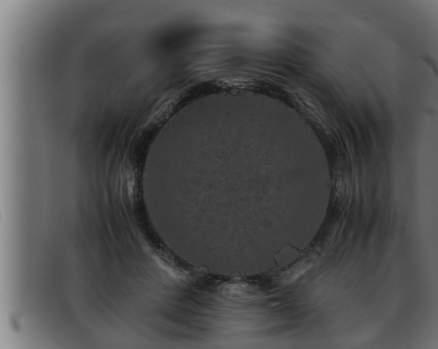 X0000093490408200710121511