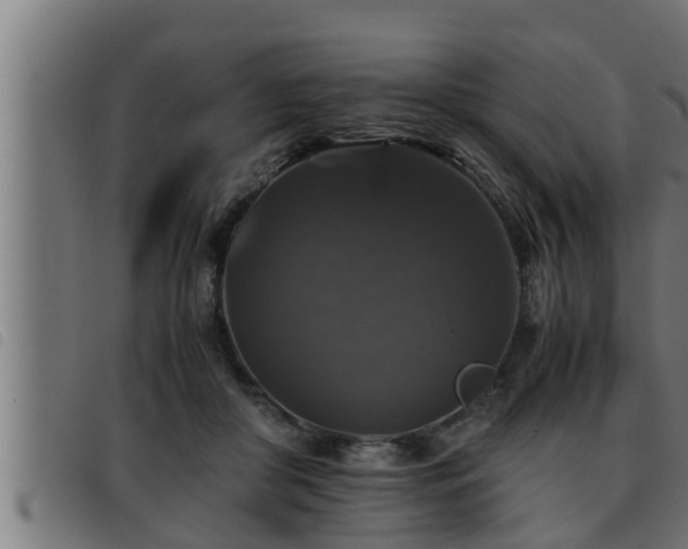 X0000093490410200710121511