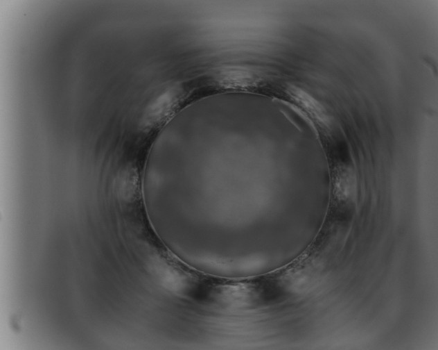 X0000093490411200710121511