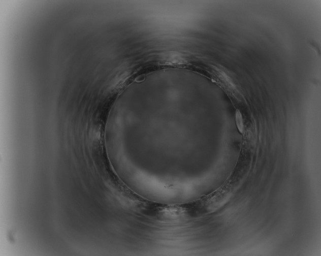 X0000093490415200710121511