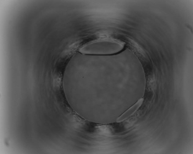 X0000093490417200710121511
