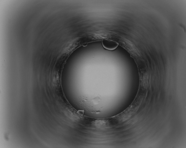 X0000093490418200710121511