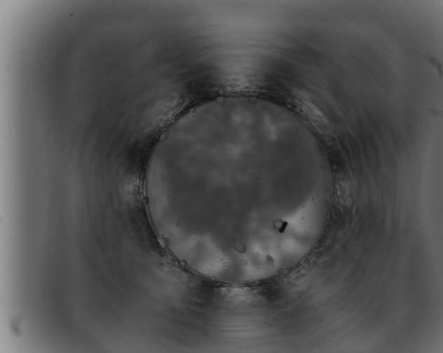 X0000093490419200710121511