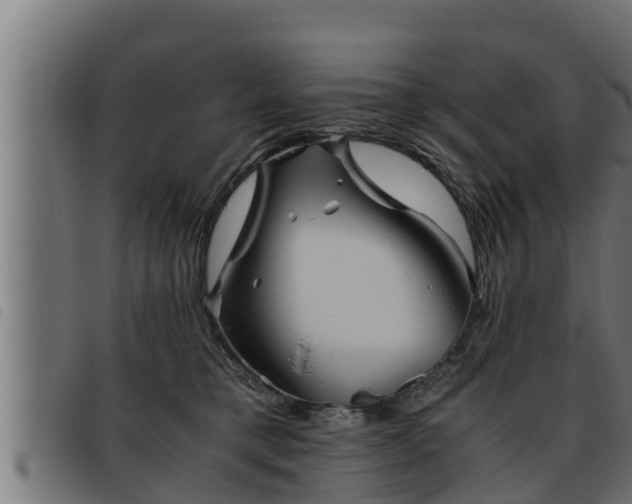 X0000093490421200710121511