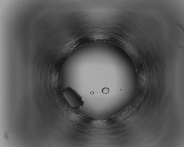 X0000093490422200710121511